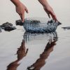 blue bowl on water